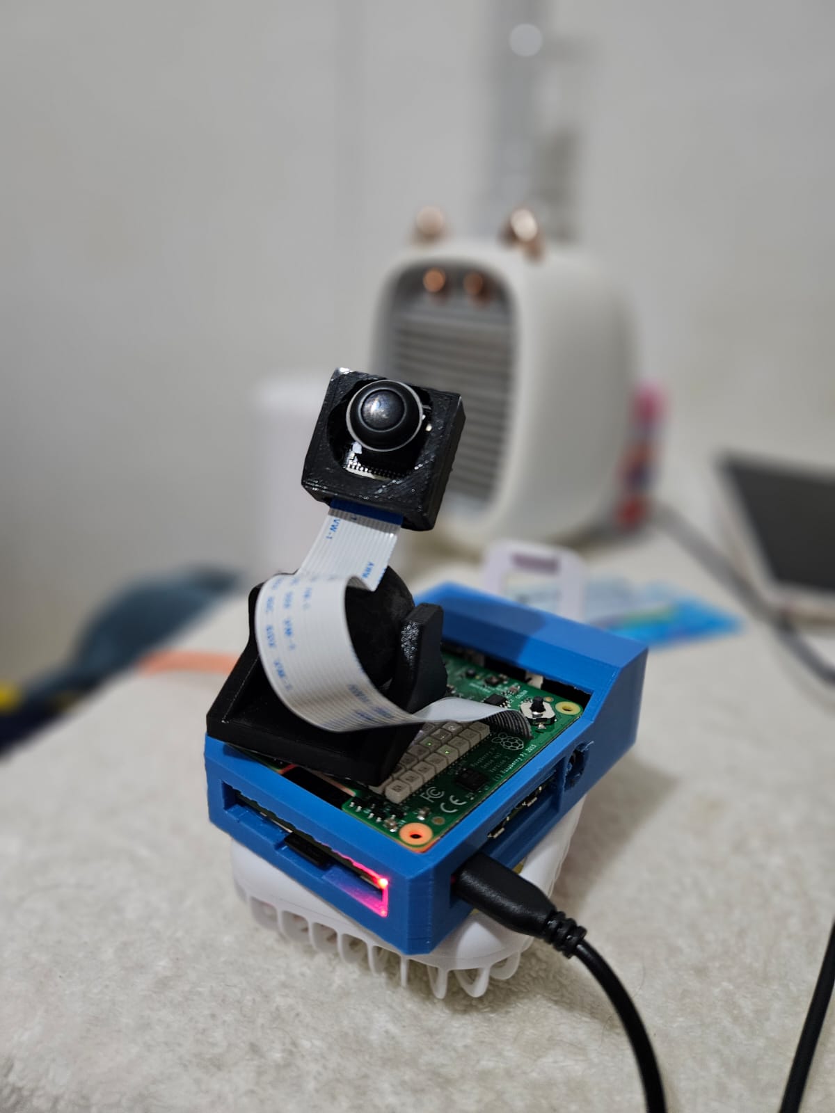 Raspberry Pi